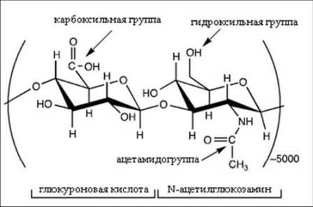 Hyal_molecule.jpg