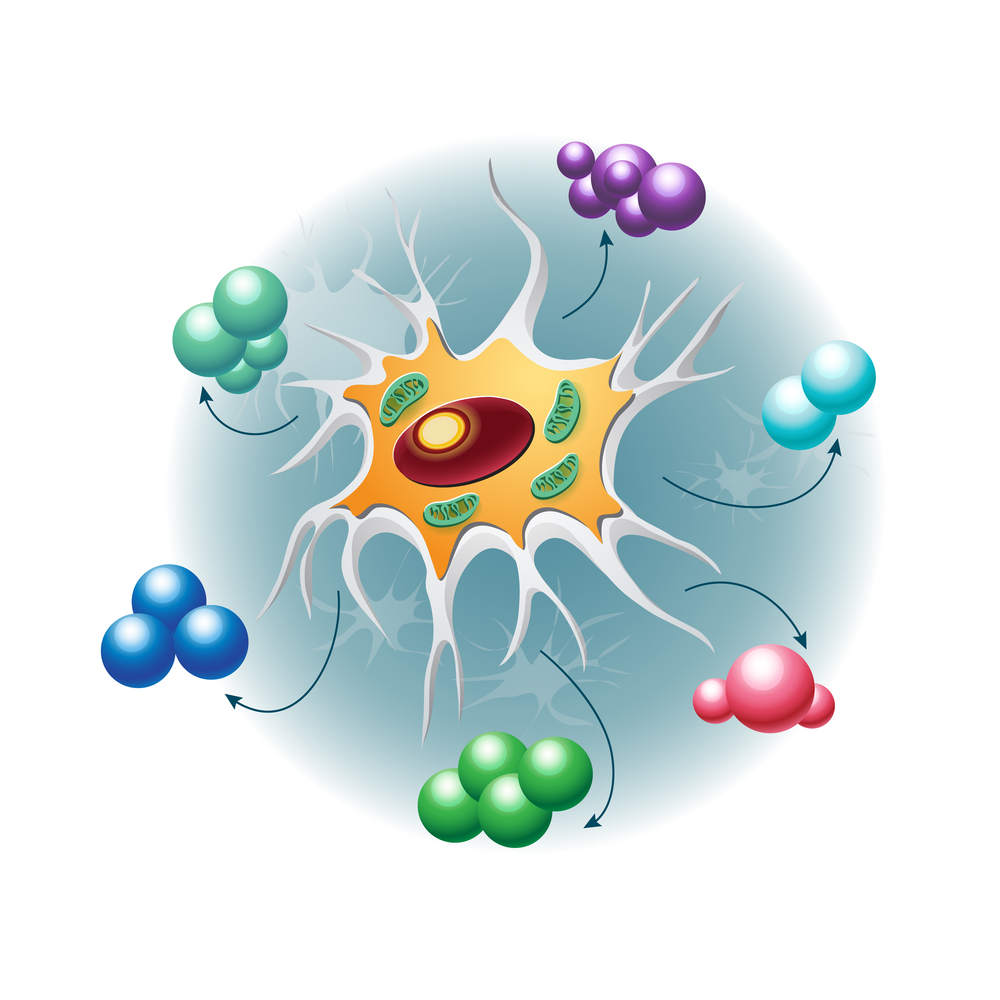 куркумин при онкологических заболеваниях